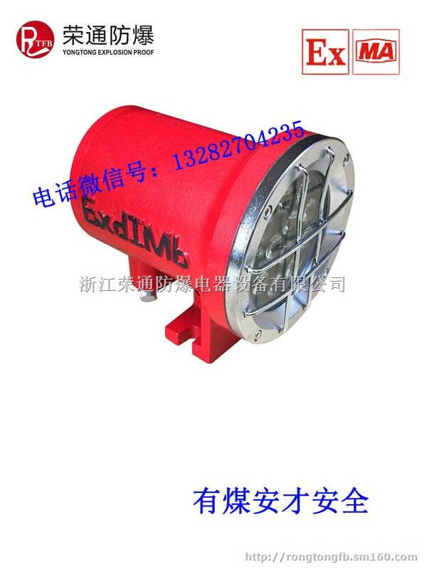 荣通dgy9w 18w 24w矿用机车灯芯图片-浙江荣通防爆电器设备有限公司