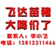 苗豬三元仔豬行情養(yǎng)殖信息查詢長白苗豬價格行情信息網(wǎng)江蘇仔豬網(wǎng)