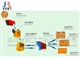 耐磨耐腐蝕河卵石制砂石生產(chǎn)線設(shè)備