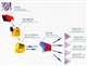 花崗巖破碎機(jī)型號(hào),花崗巖碎石機(jī)價(jià)花崗巖破碎生產(chǎn)線