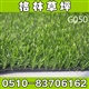 【廠(chǎng)家熱銷(xiāo)】裝飾新品  型號(hào)G048假景觀(guān)草