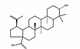 白樺脂酸白樺酯酸472-15-1 高純度植物提取物