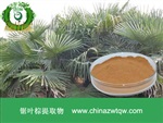 供應(yīng)鋸葉棕提取物 南箭牌植物提取物 熱銷*產(chǎn)品