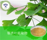 供應(yīng)銀杏葉提取物 南箭牌植物提取物 熱銷*產(chǎn)品