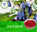 供應(yīng)藍(lán)靛果提取物 南箭牌植物提取物熱銷*產(chǎn)品