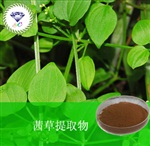 供應(yīng)茜草提取物 南箭牌植物提取物熱銷*產(chǎn)品