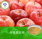 供應(yīng)蘋果提取物 南箭牌植物提取物熱銷*產(chǎn)品