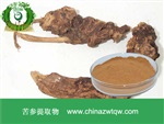 供應(yīng)苦參提取物 南箭牌植物提取物熱銷*產(chǎn)品