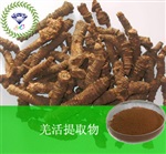 供應(yīng)羌活提取物 南箭牌植物提取物熱銷*產(chǎn)品