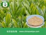 供應(yīng)綠茶提取物 南箭牌植物提取物熱銷*產(chǎn)品