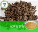 供應(yīng)續(xù)斷提取物 南箭牌植物提取物熱銷*產(chǎn)品