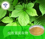 供應(yīng)絞股藍(lán)提取物 南箭牌植物提取物熱銷*產(chǎn)品