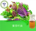 供應(yīng)紫蘇葉油 南箭牌植物提取物熱銷*產(chǎn)品