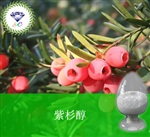 供應(yīng)紫杉醇 南箭牌植物提取物熱銷*產(chǎn)品