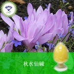 供應(yīng)秋水仙堿 南箭牌植物提取物熱銷*產(chǎn)品