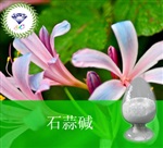 供應(yīng)砂仁提取物 南箭牌植物提取物熱銷*產(chǎn)品