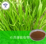 供應(yīng)石菖蒲提取物 南箭牌植物提取物熱銷*產(chǎn)品