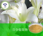 供應(yīng)百合提取物 南箭牌植物提取物熱銷*產(chǎn)品