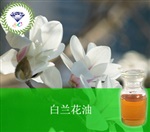 供應(yīng)白蘭花油 南箭牌植物提取物熱銷*產(chǎn)品