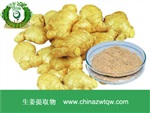 供應(yīng)生姜提取物 南箭牌植物提取物熱銷*產(chǎn)品