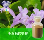 供應(yīng)板藍(lán)根浸膏 南箭牌植物提取物熱銷*產(chǎn)品