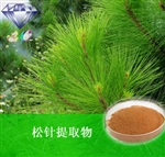 供應(yīng)松針提取物 南箭牌植物提取物熱銷*產(chǎn)品