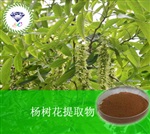 供應(yīng)楊樹花提取物 南箭牌植物提取物熱銷*產(chǎn)品