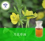 供應(yīng)月見(jiàn)草油 南箭牌植物提取物熱銷*產(chǎn)品