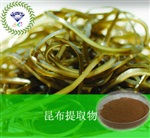 供應(yīng)昆布提取物 南箭牌植物提取物熱銷*產(chǎn)品