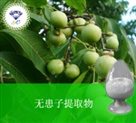 供應(yīng)無(wú)患子提取物 南箭牌植物提取物熱銷*產(chǎn)品