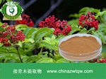 供應(yīng)接骨木提取物 南箭牌植物提取物熱銷*產(chǎn)品