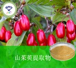 供應(yīng)山茱萸提取物 南箭牌植物提取物熱銷*產(chǎn)品