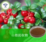 供應(yīng)山楂提取物 南箭牌植物提取物熱銷*產(chǎn)品