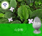 供應(yīng)山奈酚 南箭牌植物提取物熱銷*產(chǎn)品