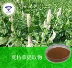 供應(yīng)夏枯草提取物 南箭牌植物提取物熱銷*產(chǎn)品