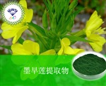 供應(yīng)墨旱蓮提取物 南箭牌植物提取物熱銷*產(chǎn)品