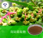 供應(yīng)商陸提取物 南箭牌植物提取物熱銷*產(chǎn)品