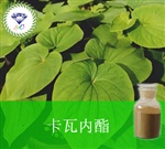 供應(yīng)卡瓦內(nèi)酯 南箭牌植物提取物熱銷*產(chǎn)品