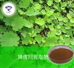 供應(yīng)博落回提取物 南箭牌植物提取物熱銷*產(chǎn)品