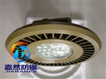 防爆免維護(hù)led照明燈200w 250w 280w