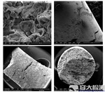 SSC HIC硫化氫腐蝕檢測 閥門法蘭硫化氫檢測