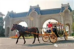 東莞虎門出租婚禮專用歐式馬車