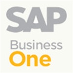 SAP Business One-中小型企業(yè)ERP