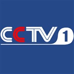 cctv1廣告費