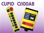 CUPID Q100AB 無線遙控器