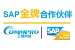 東莞SAP公司 東莞SAP ERP公司