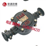 供應(yīng)BHD2-40/2T礦用隔爆型低壓電纜接線盒