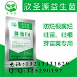 可以讓花生芽苗菜增產(chǎn)的要藥水哪里有賣(mài)