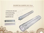 隧道盾構(gòu)機專用應(yīng)急照明LED三防燈，60cm防潮防