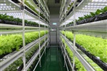 植物生長室建設(shè)/人工氣候室設(shè)計(jì)/步入式人工氣候室改